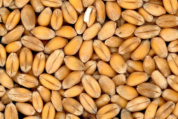 grains