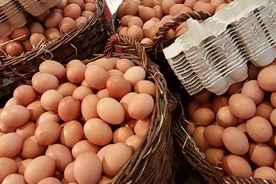 protein