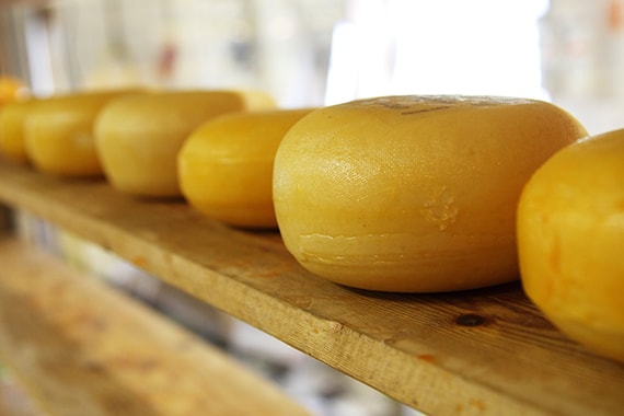 dairy-products